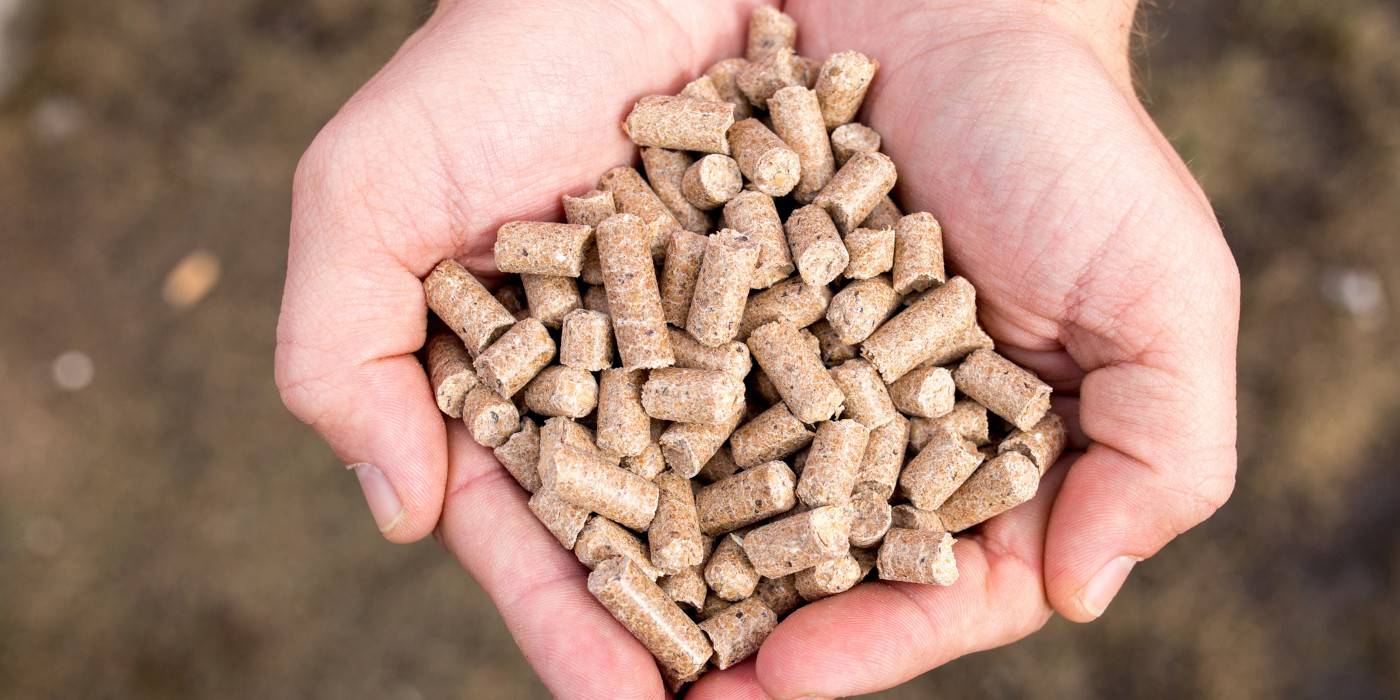 Quaranta Store cose il pellet 1